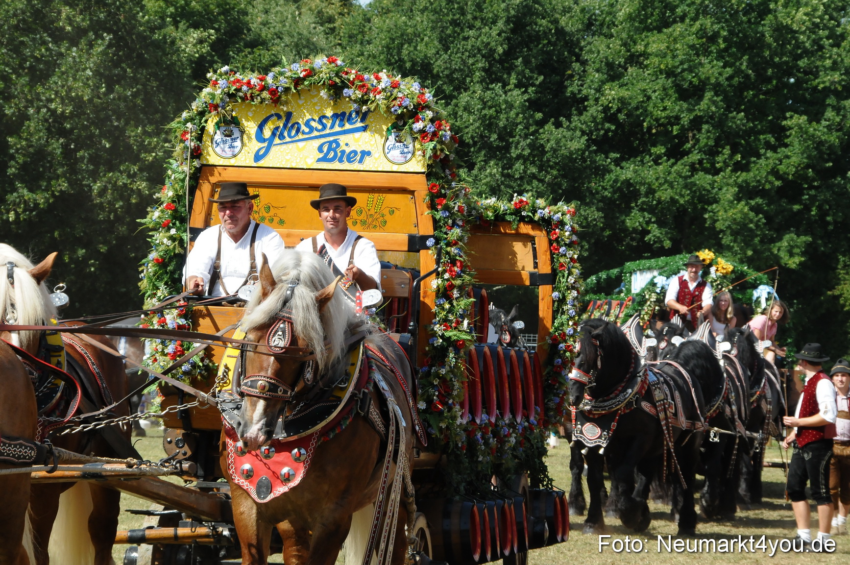 Pferde Fohlenschau 200812 0368