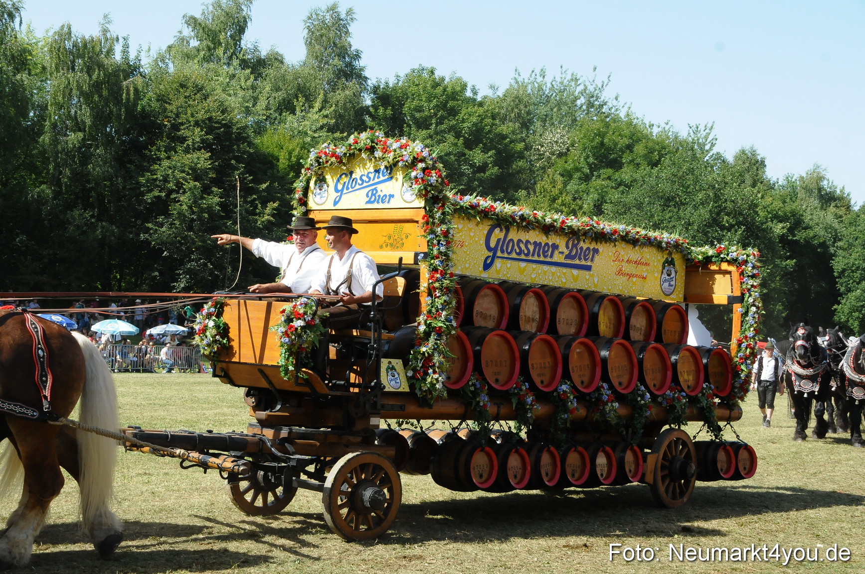 Pferde Fohlenschau 200812 0370