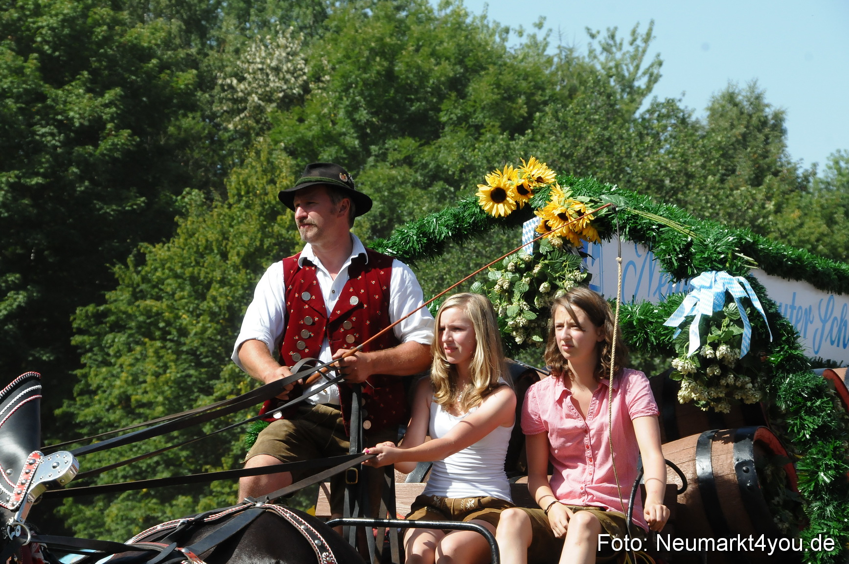 Pferde Fohlenschau 200812 0371