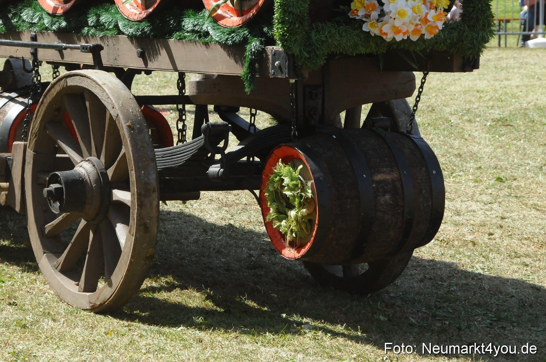 Pferde Fohlenschau 200812 0374