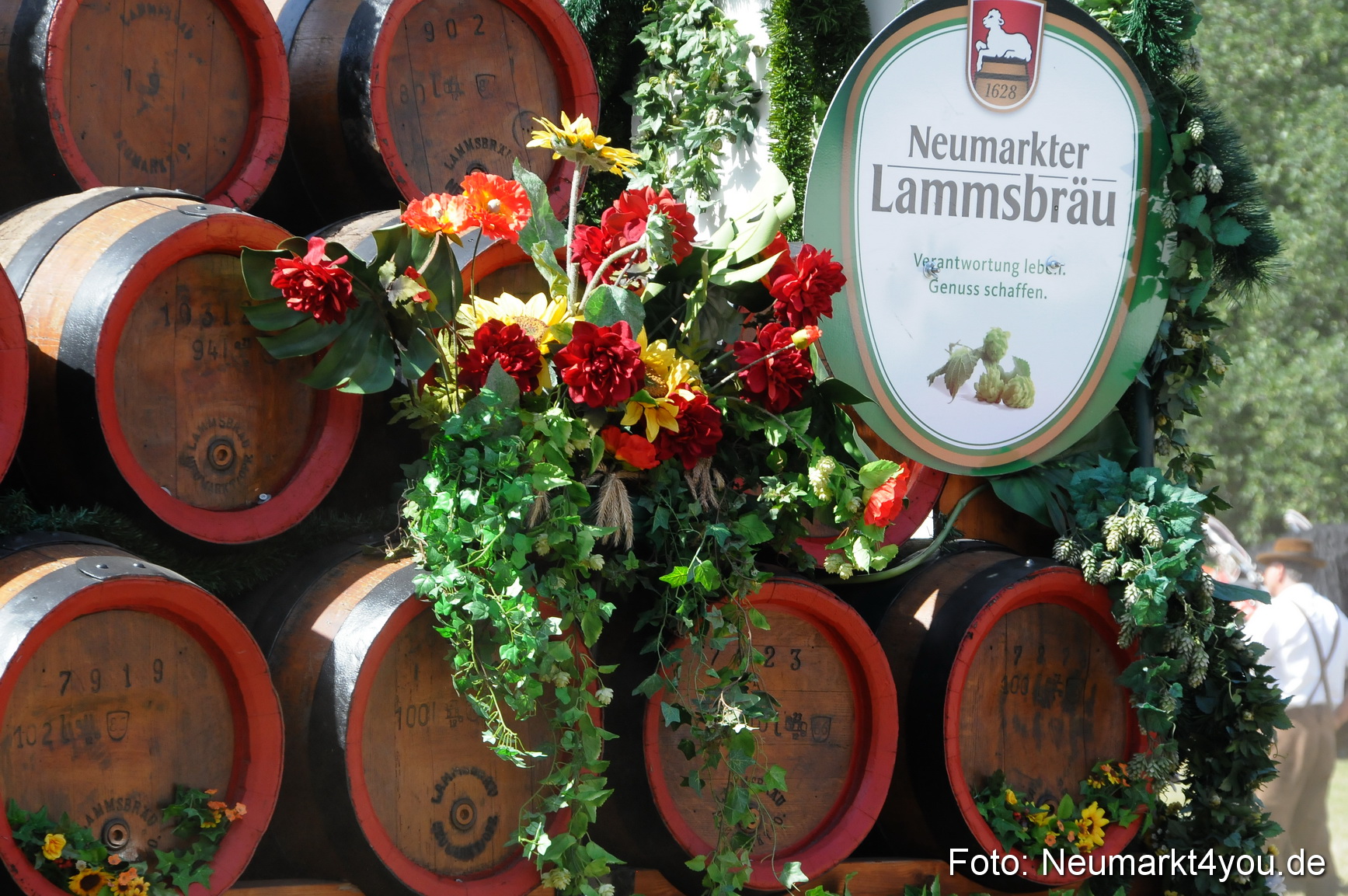 Pferde Fohlenschau 200812 0377