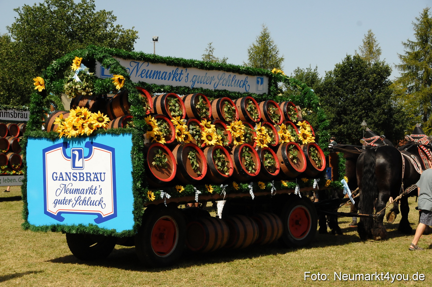 Pferde Fohlenschau 200812 0383