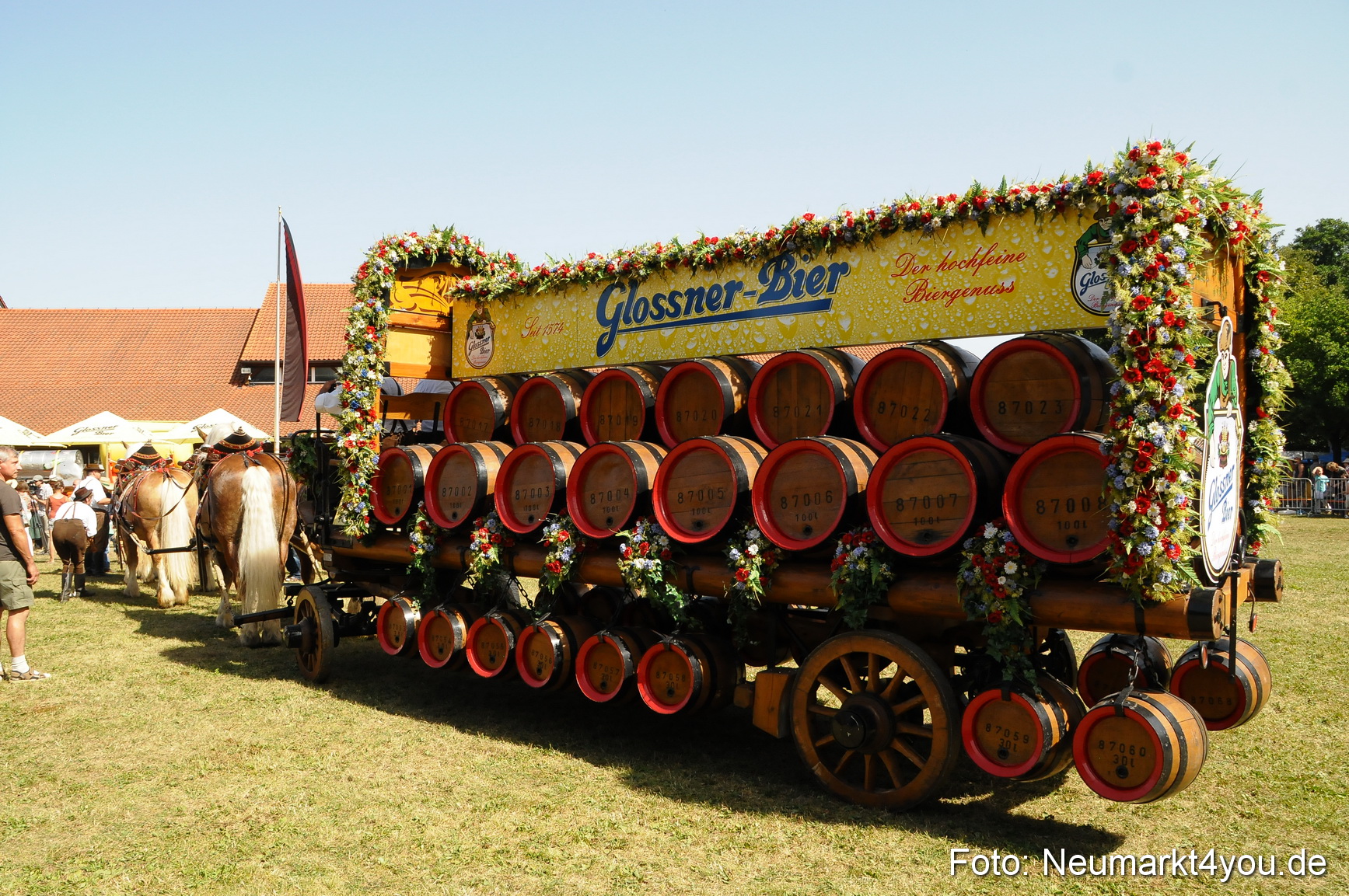 Pferde Fohlenschau 200812 0384