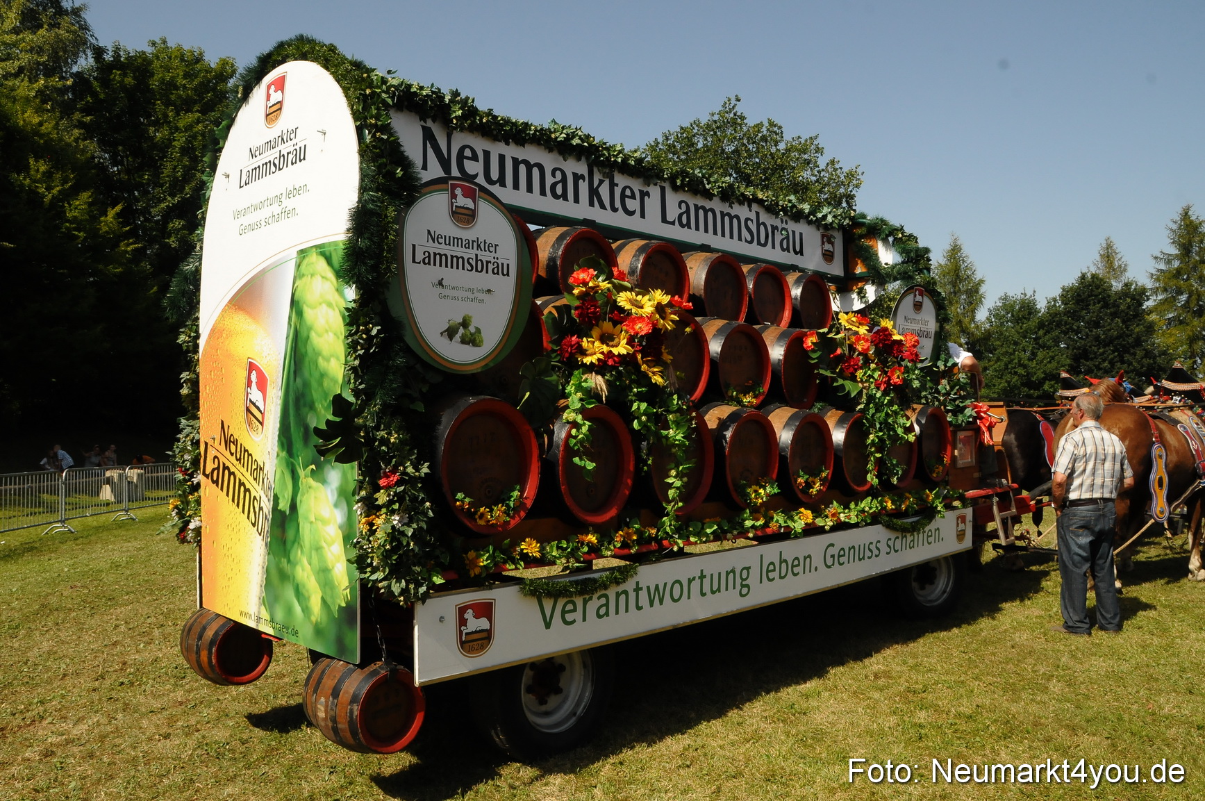 Pferde Fohlenschau 200812 0388