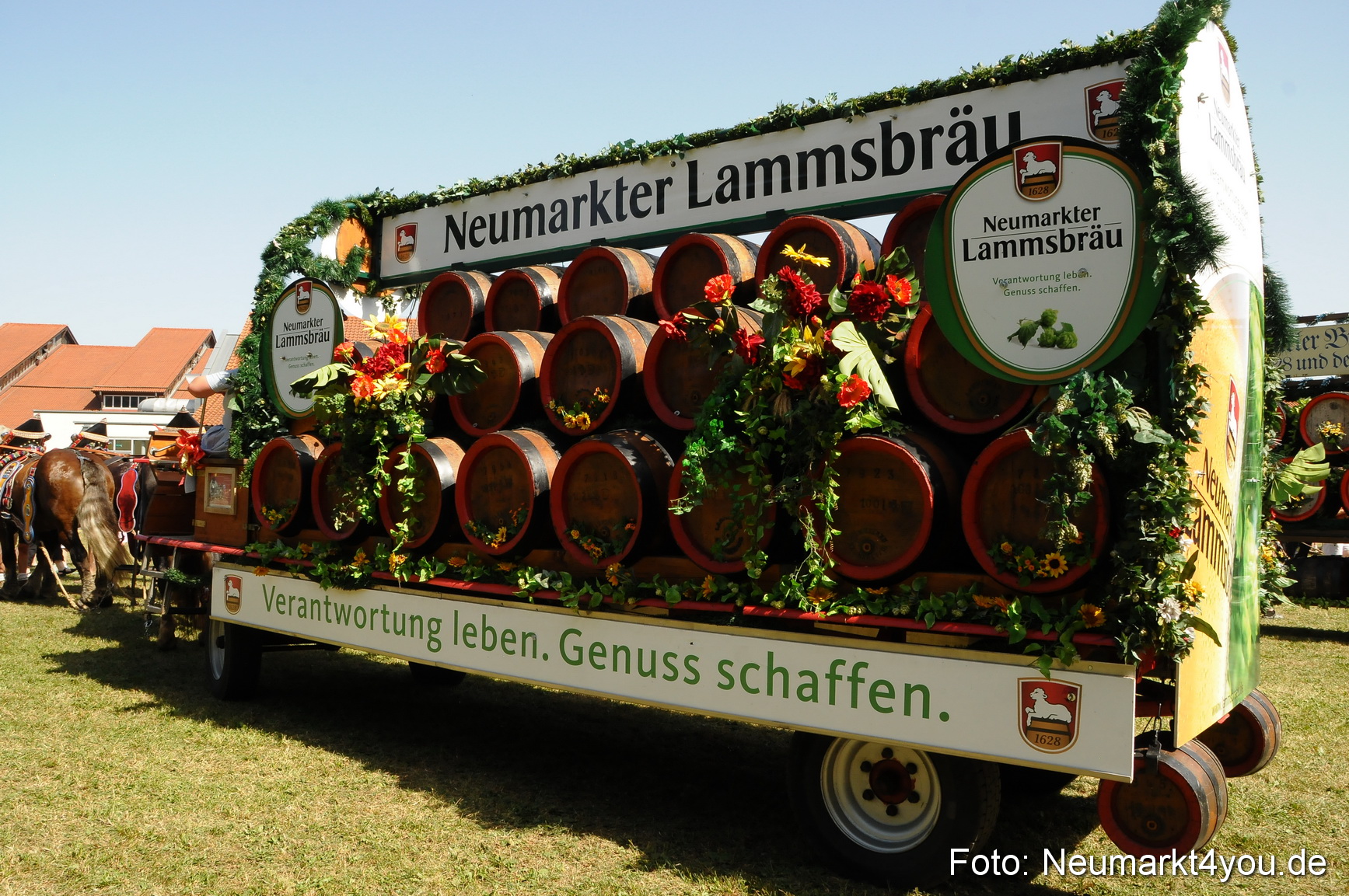 Pferde Fohlenschau 200812 0390