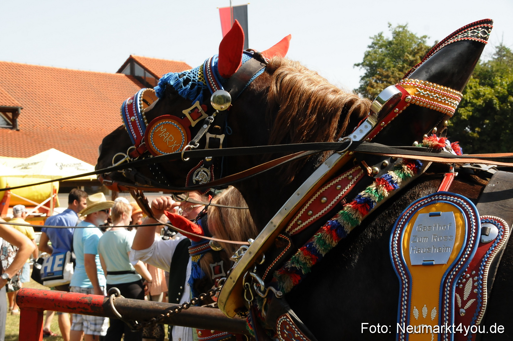 Pferde Fohlenschau 200812 0391