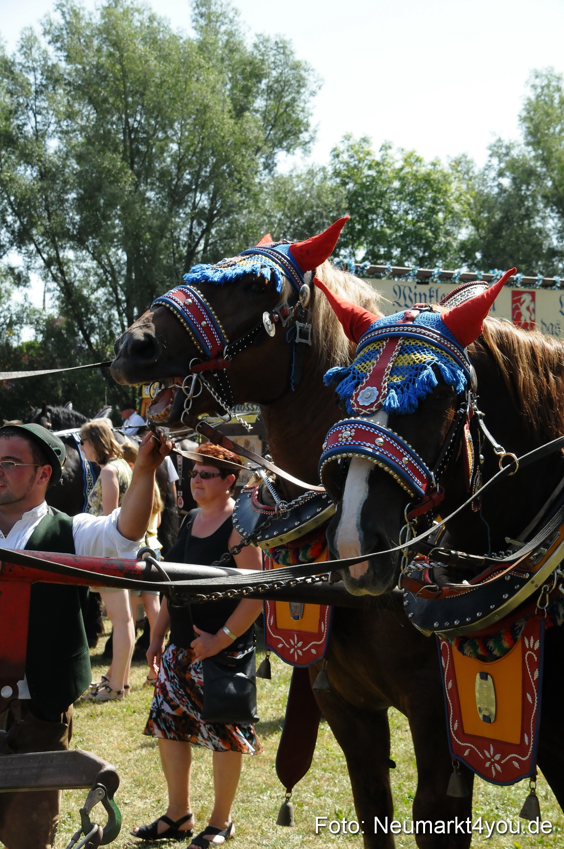 Pferde Fohlenschau 200812 0392