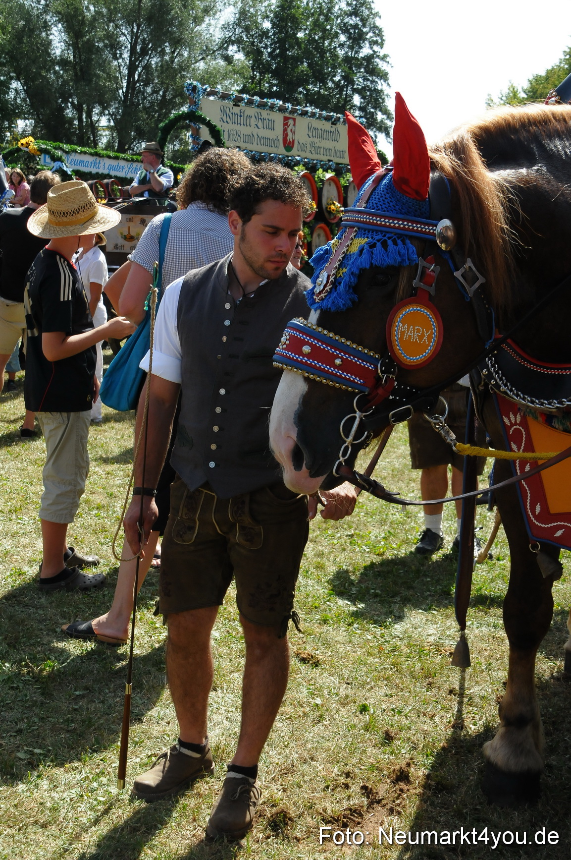 Pferde Fohlenschau 200812 0393