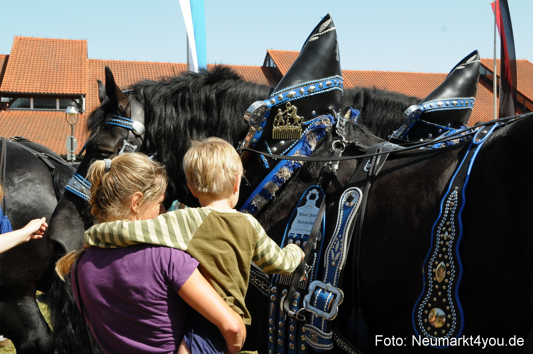 Pferde Fohlenschau 200812 0395