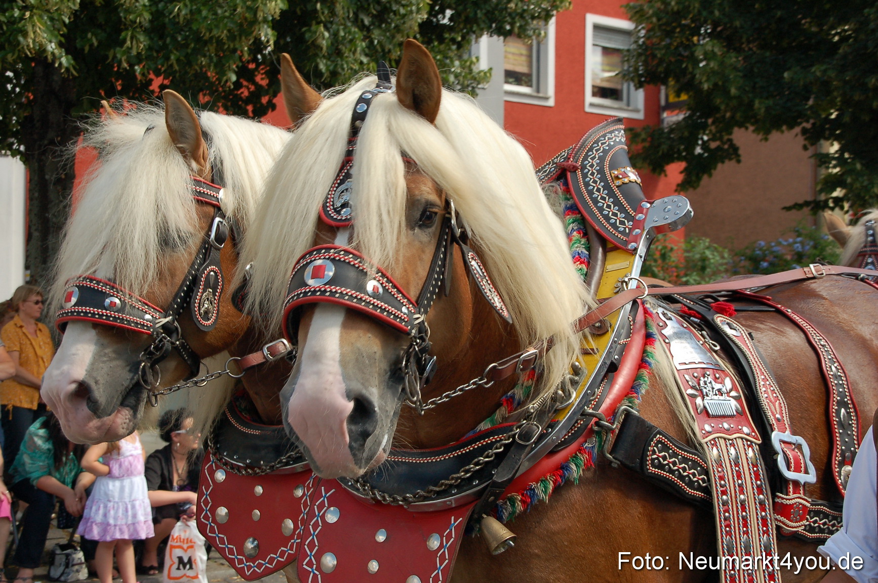 Festzug Juravolksfest 2012 0100