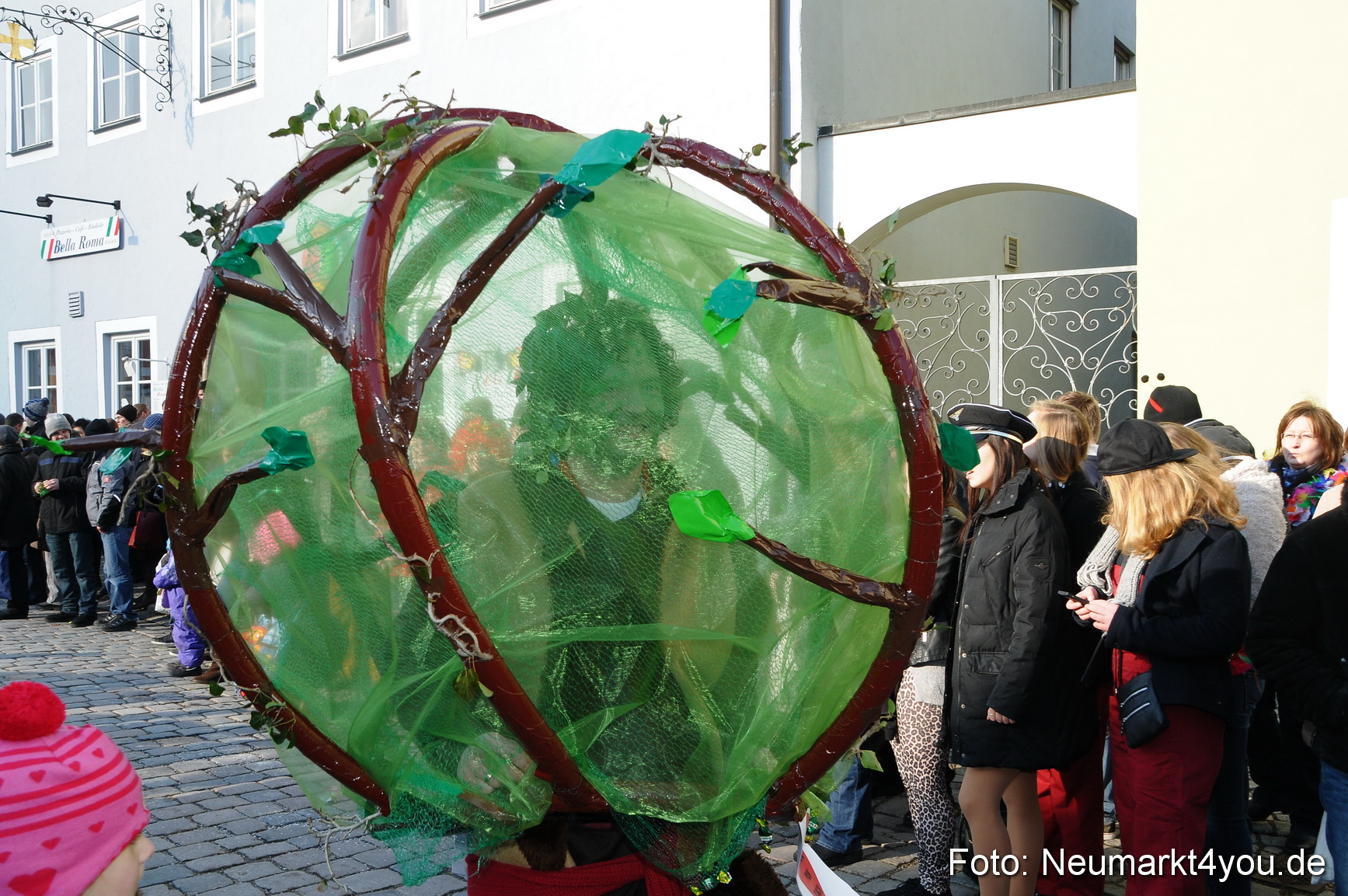 Faschingszug Berching 100213 0202