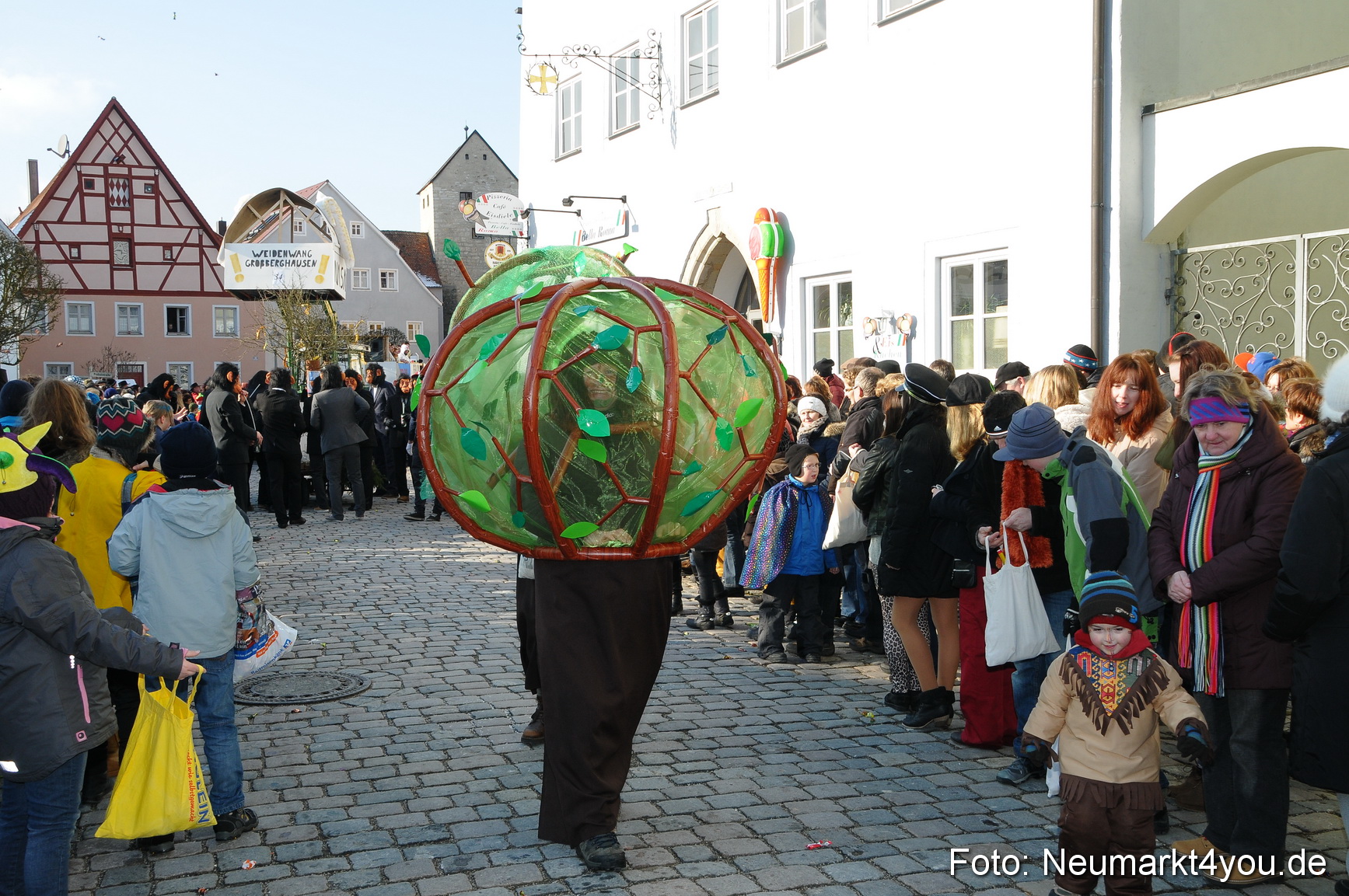 Faschingszug Berching 100213 0209