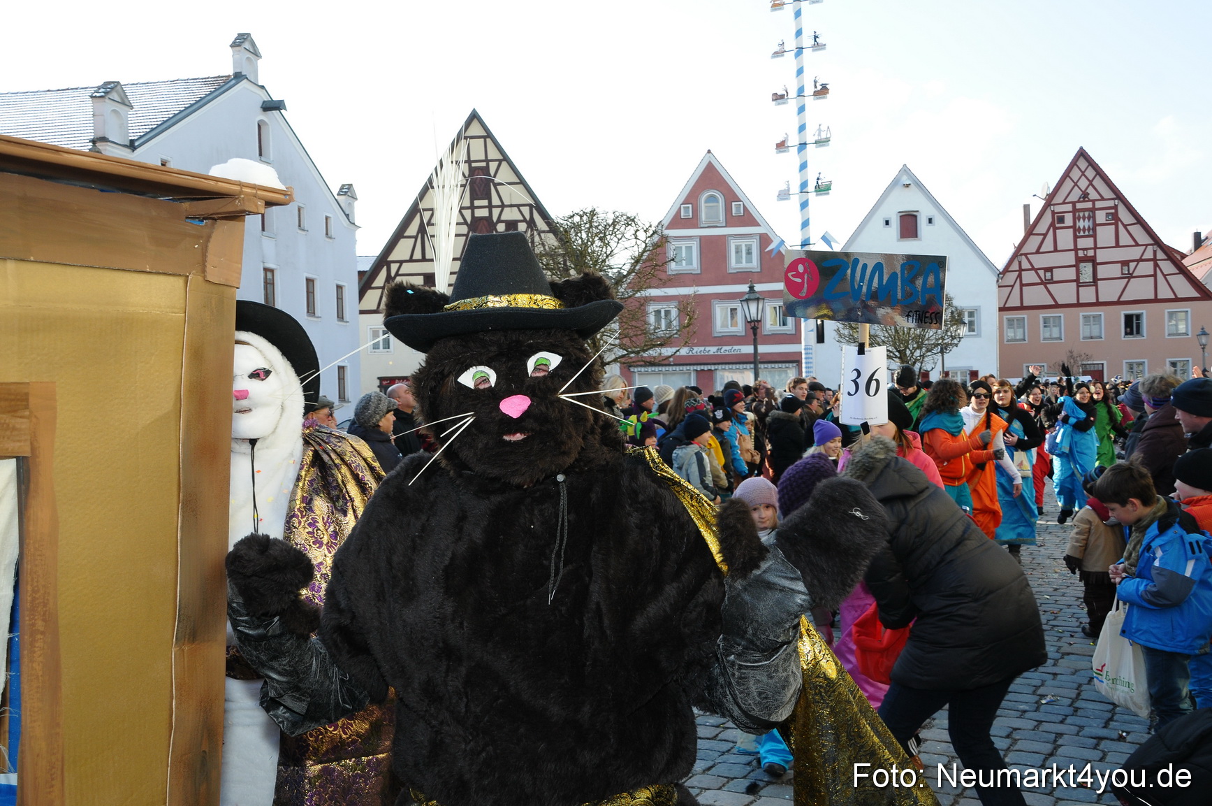 Faschingszug Berching 100213 0221