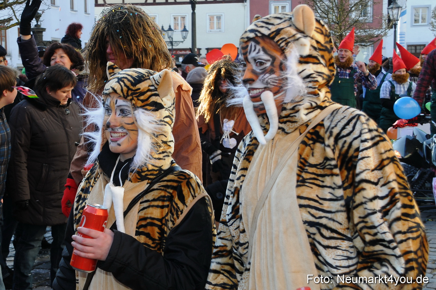 Faschingszug Berching 100213 0259
