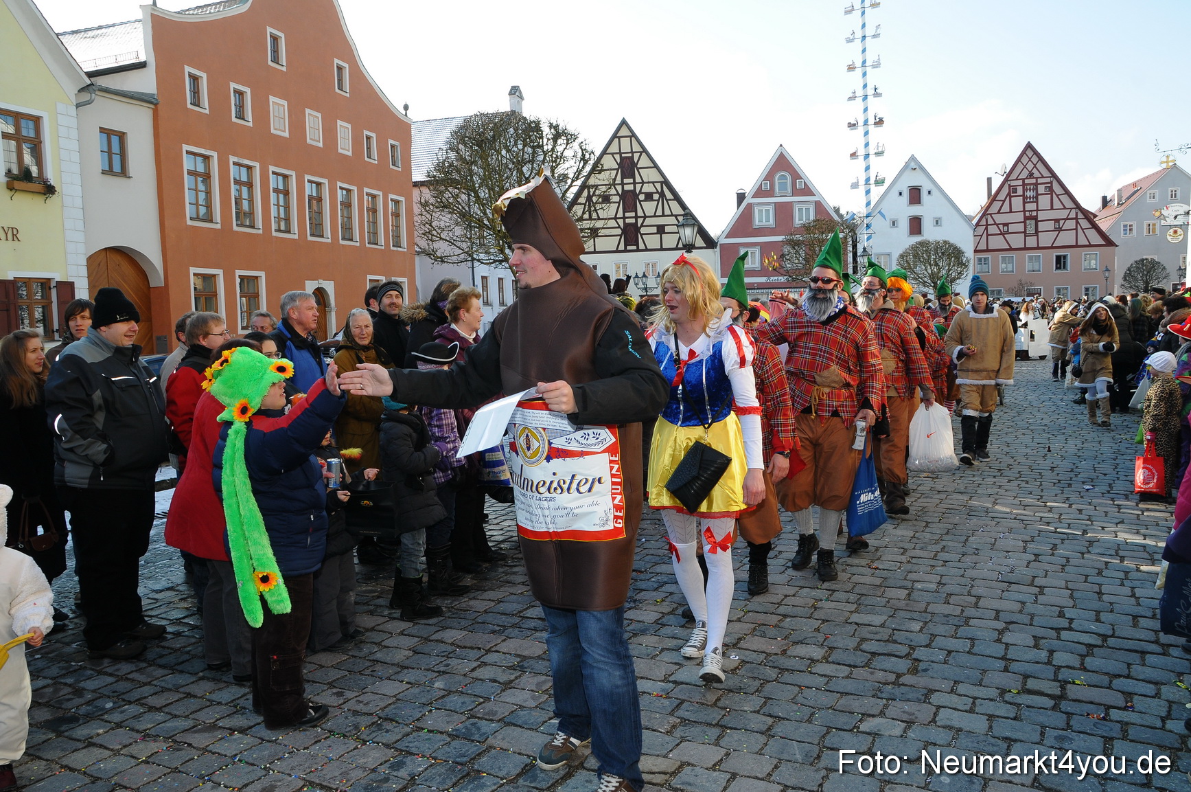 Faschingszug Berching 100213 0270