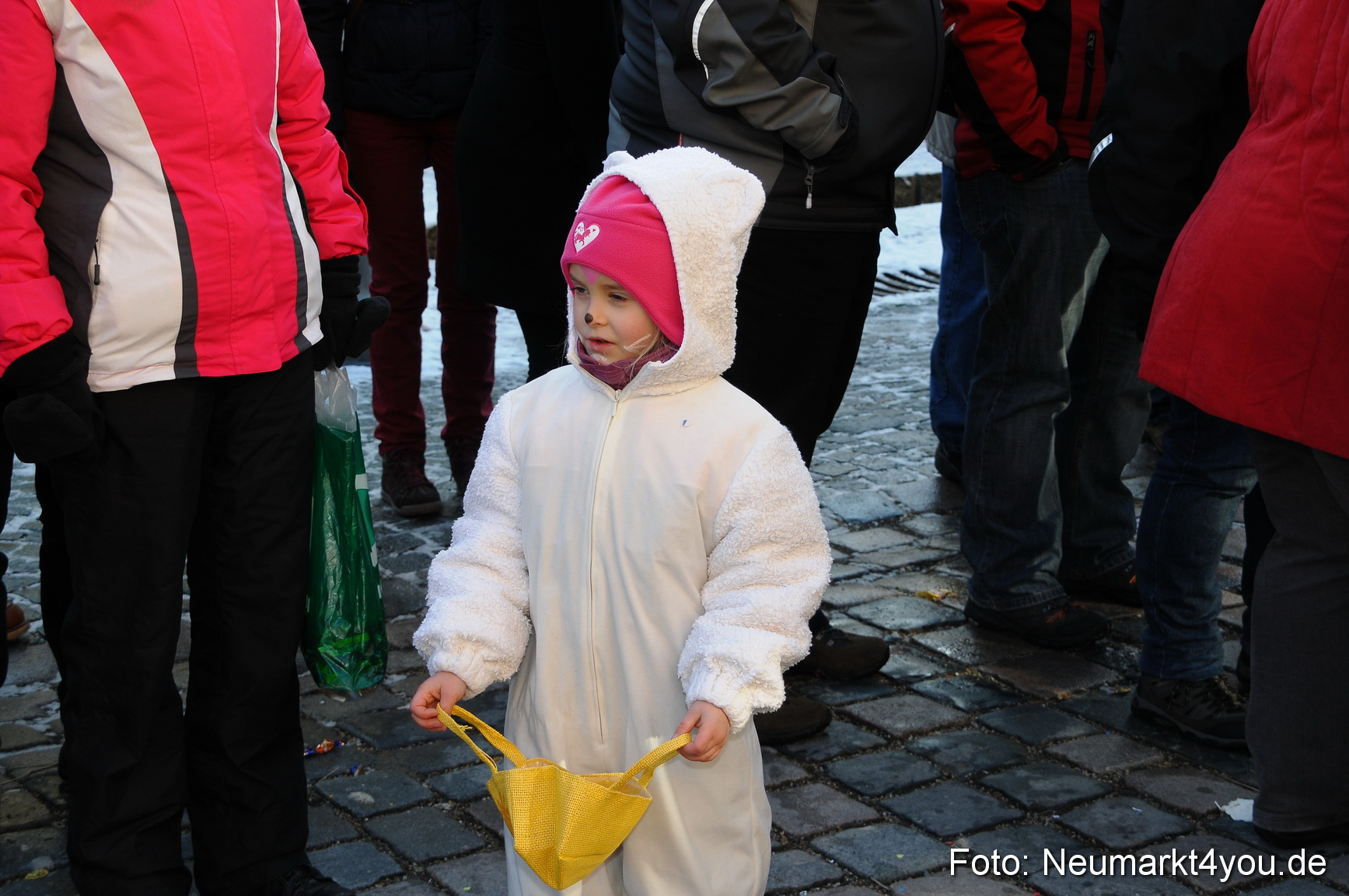 Faschingszug Berching 100213 0277