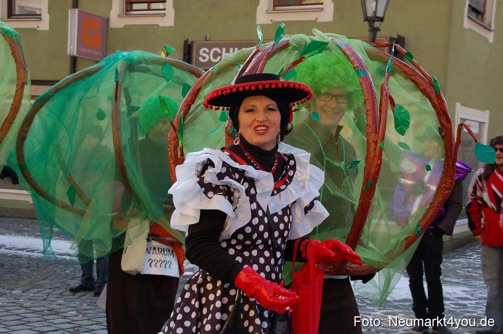 Faschingszug Berching 100213 0385