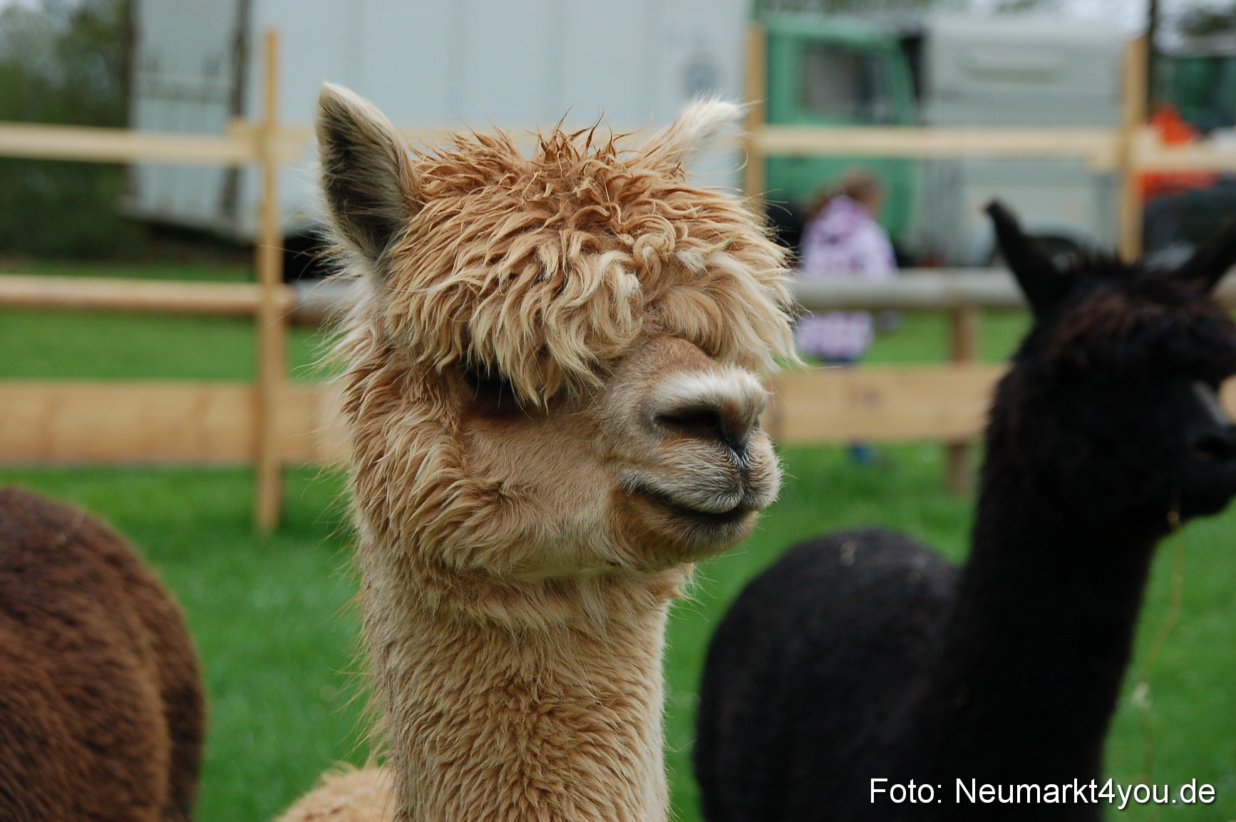 Fruehlingsfest 2013 0067