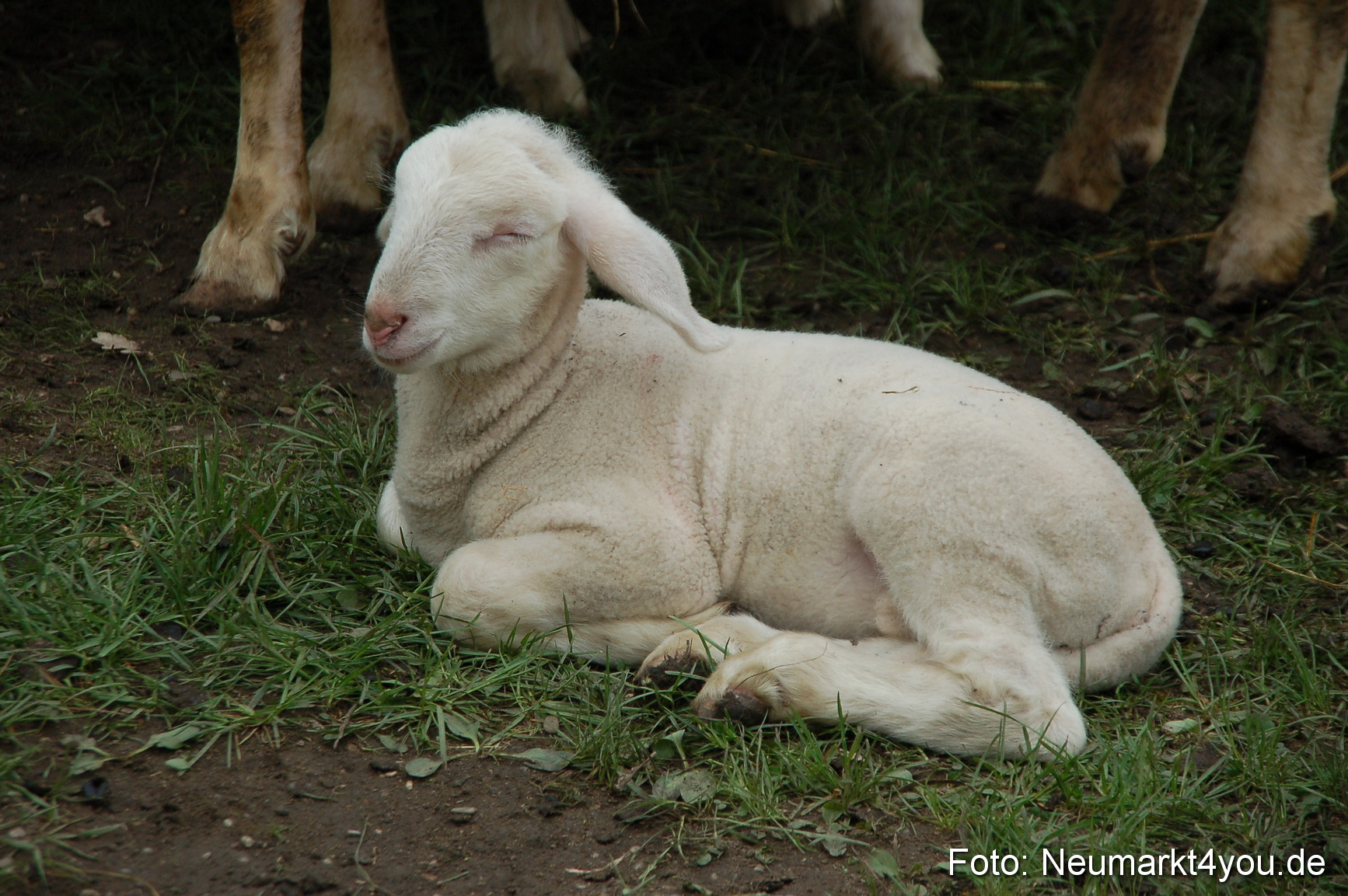 Fruehlingsfest 2013 0070