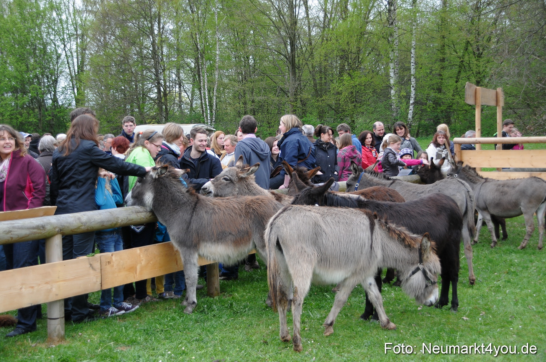 Fruehlingsfest 2013 0071