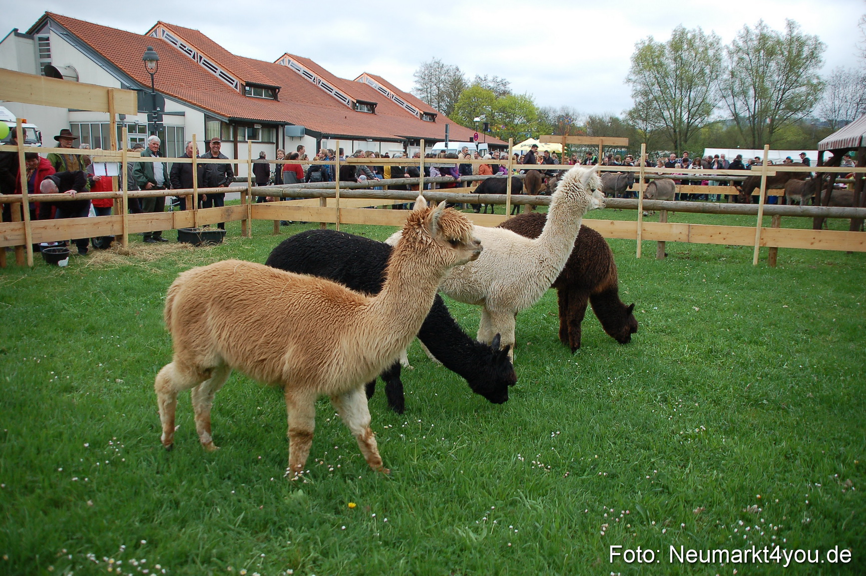 Fruehlingsfest 2013 0076