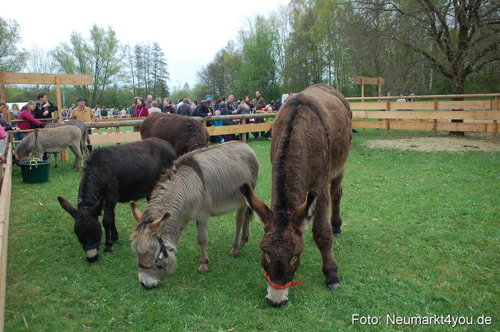 Fruehlingsfest 2013 0080