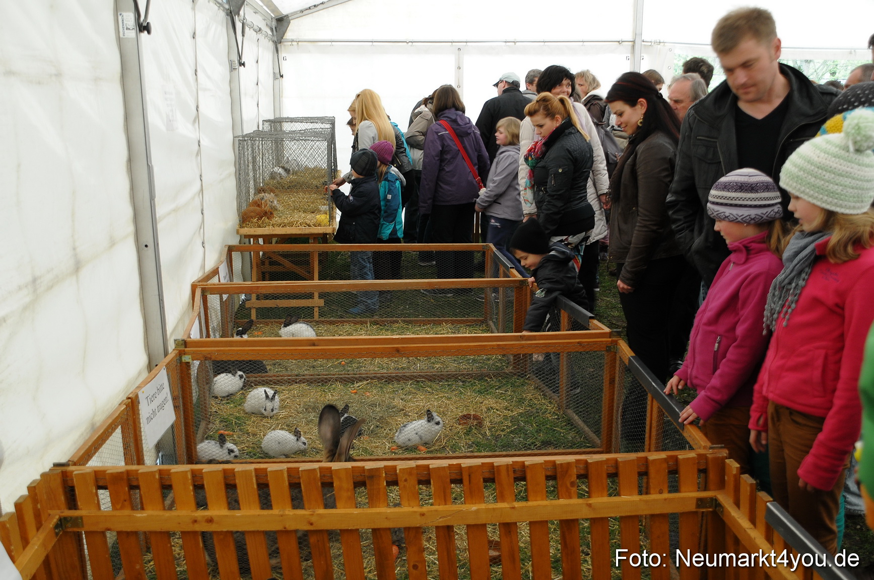 Fruehlingsfest 2013 0084