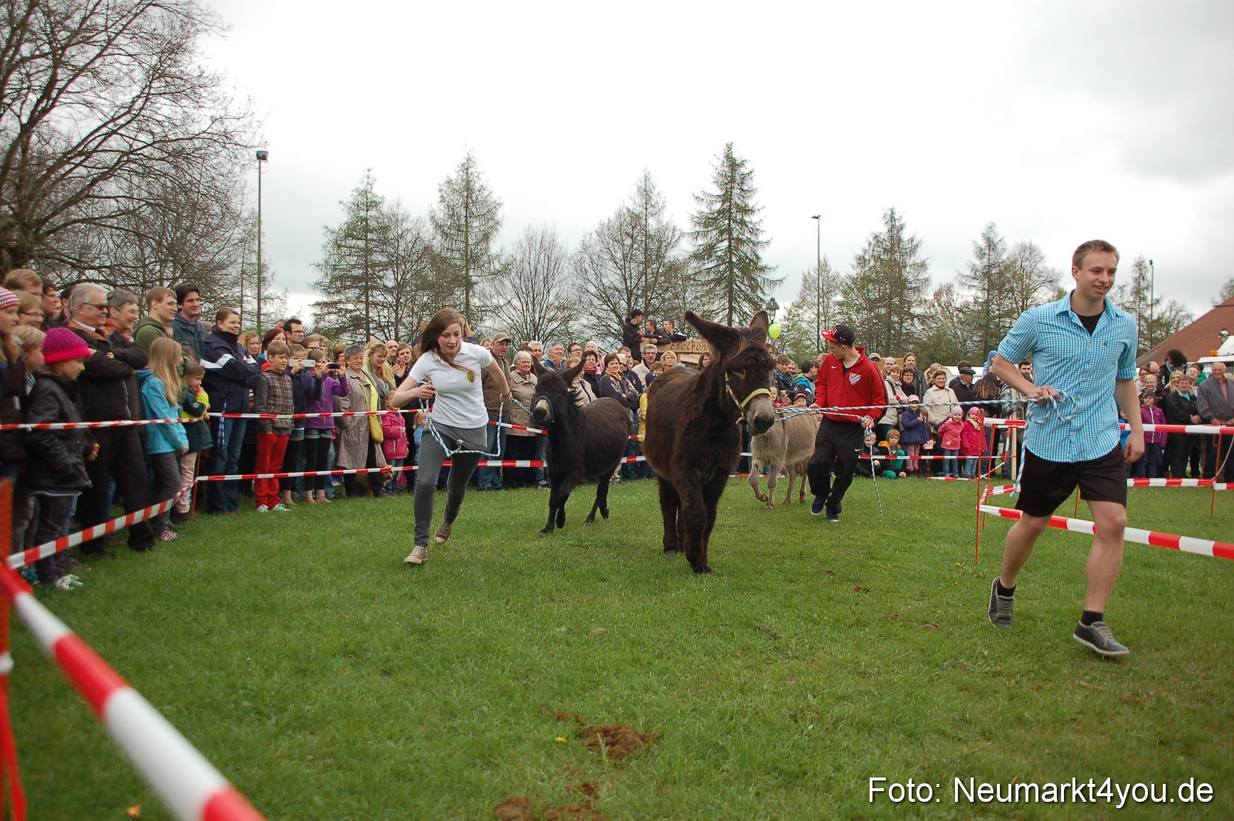 Eselrennen Fruehlingsfest 280413 0072
