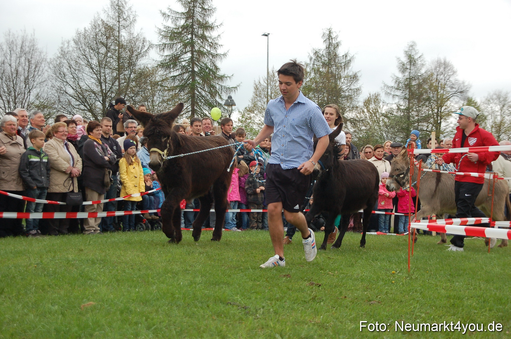Eselrennen Fruehlingsfest 280413 0075