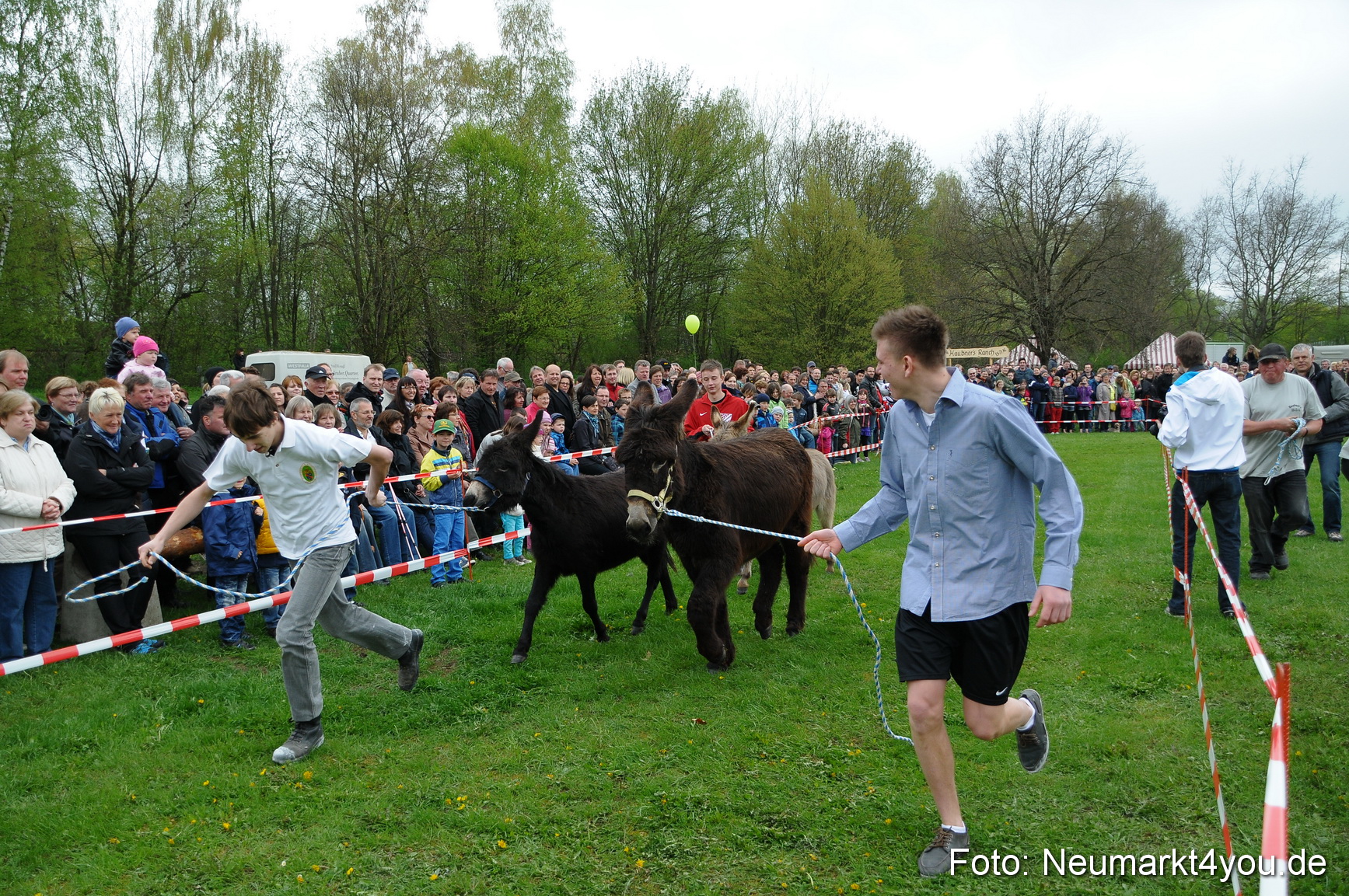Eselrennen Fruehlingsfest 280413 0082