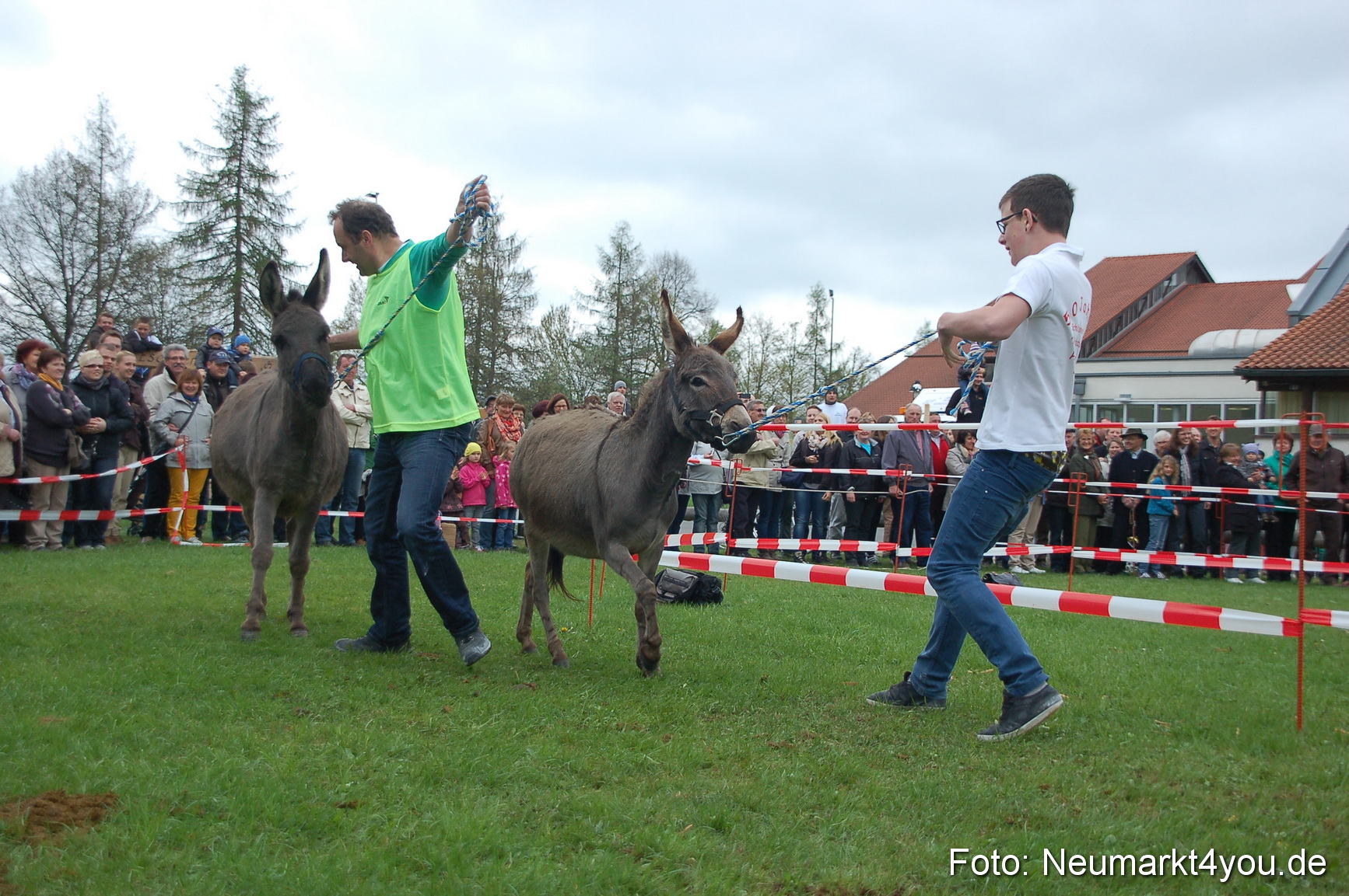 Eselrennen Fruehlingsfest 280413 0129