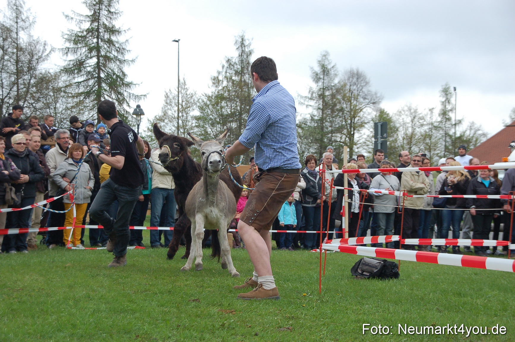 Eselrennen Fruehlingsfest 280413 0132