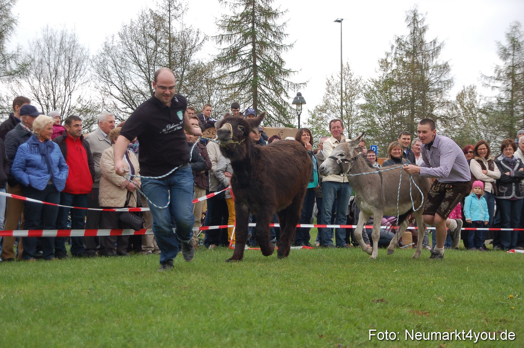 Eselrennen Fruehlingsfest 280413 0136