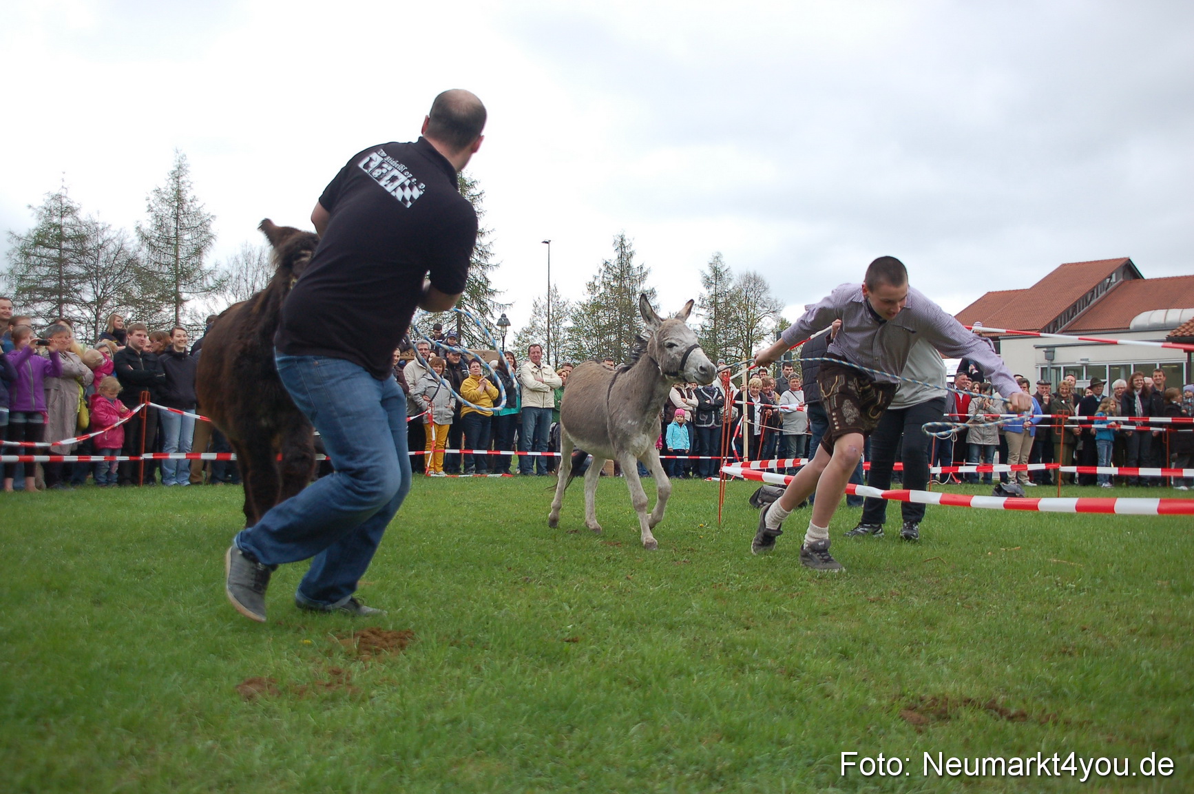 Eselrennen Fruehlingsfest 280413 0138