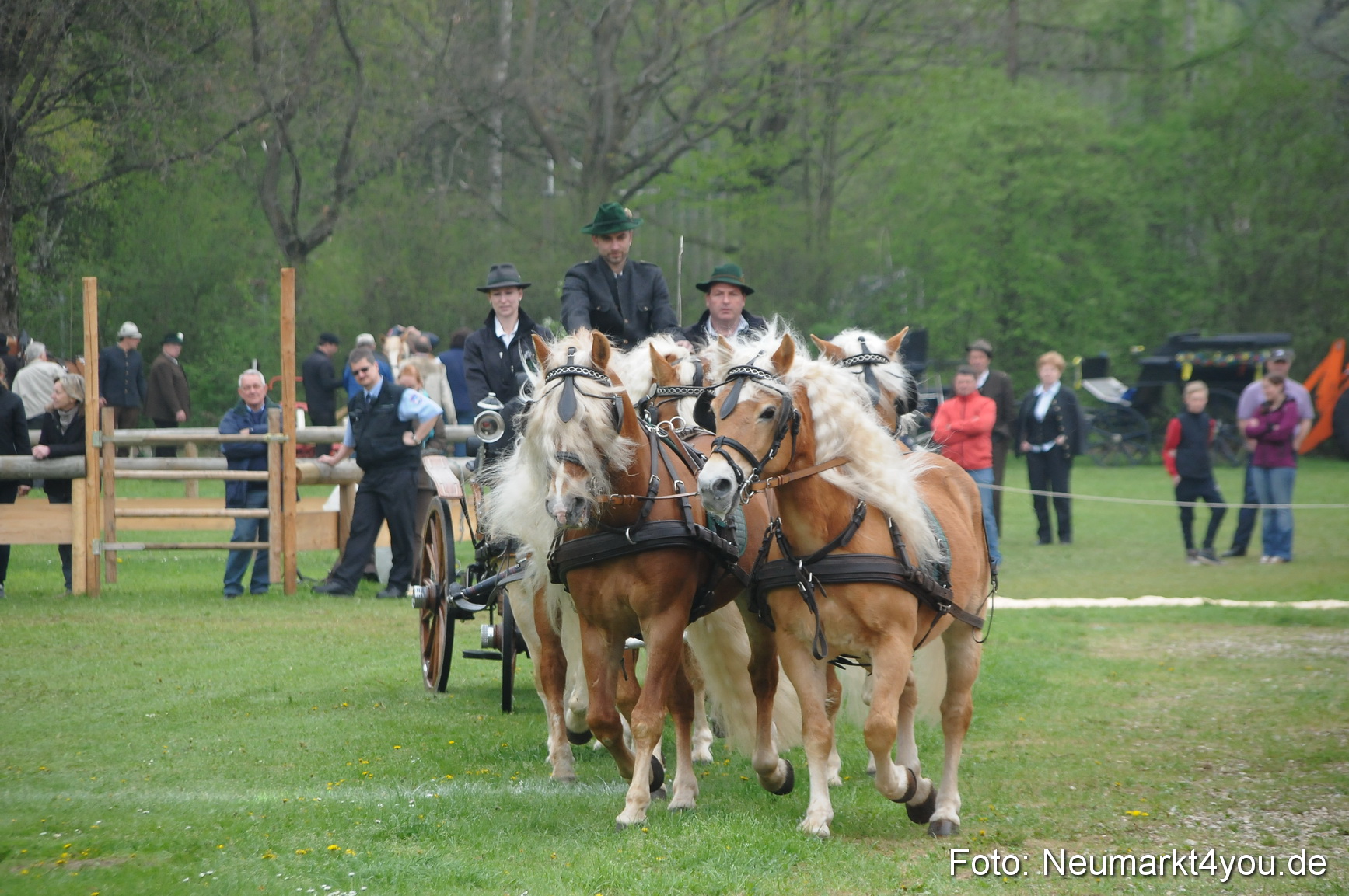Haflingertreffen Neumarkt 010513 0003