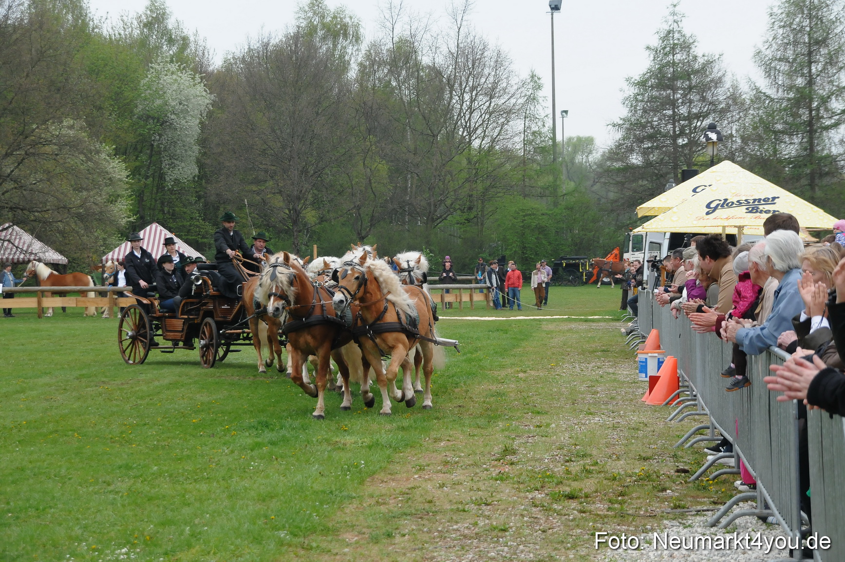 Haflingertreffen Neumarkt 010513 0008