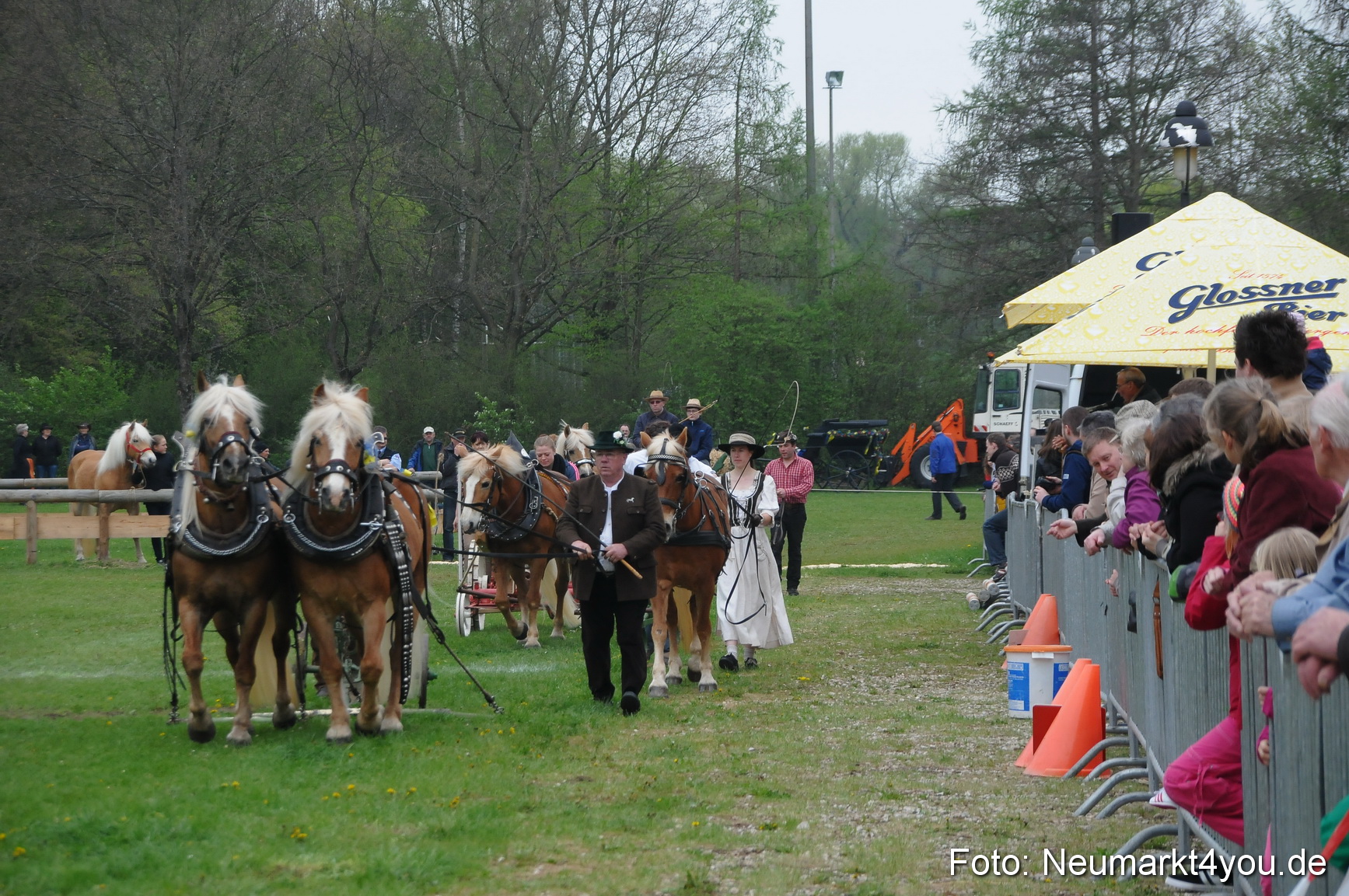Haflingertreffen Neumarkt 010513 0014