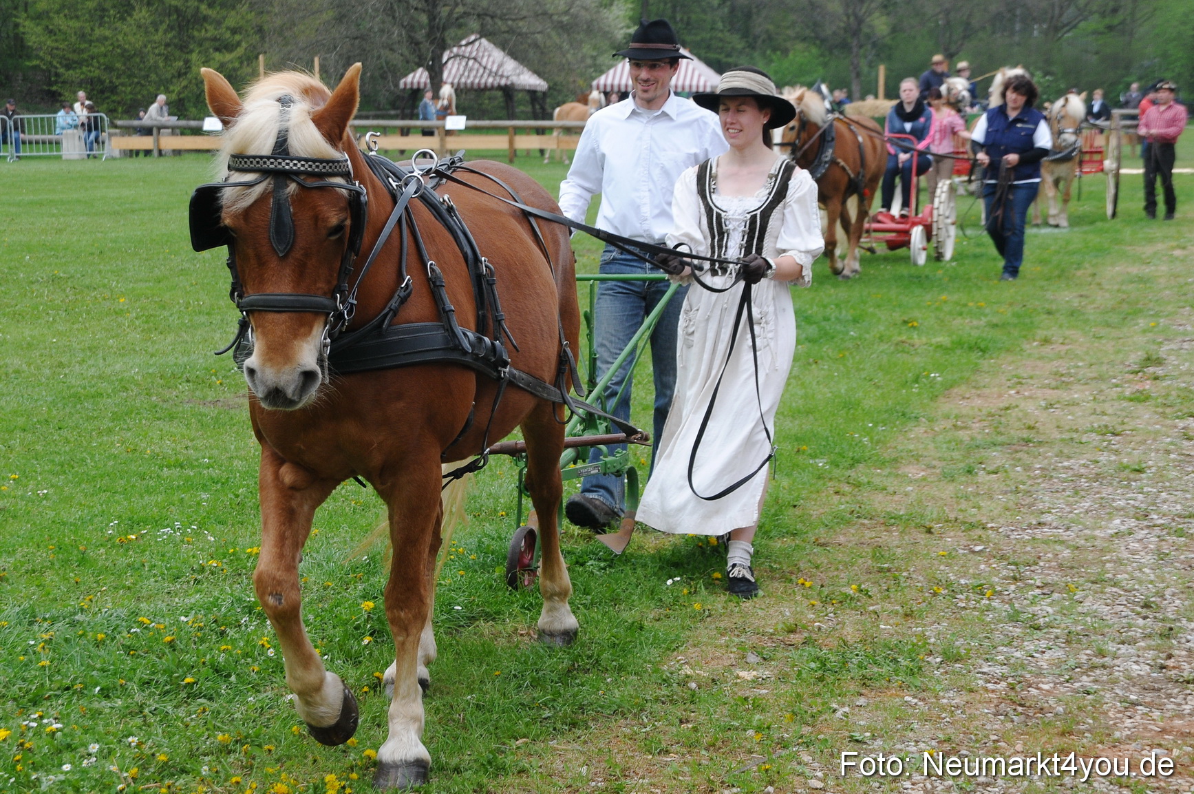 Haflingertreffen Neumarkt 010513 0017