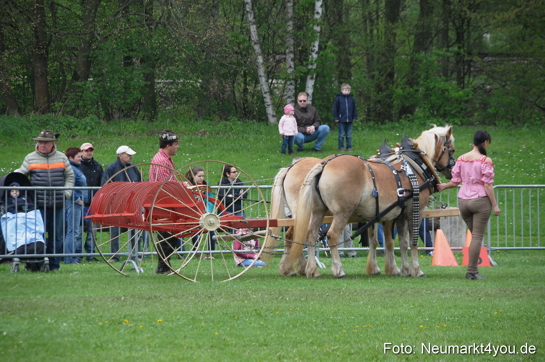 Haflingertreffen Neumarkt 010513 0022