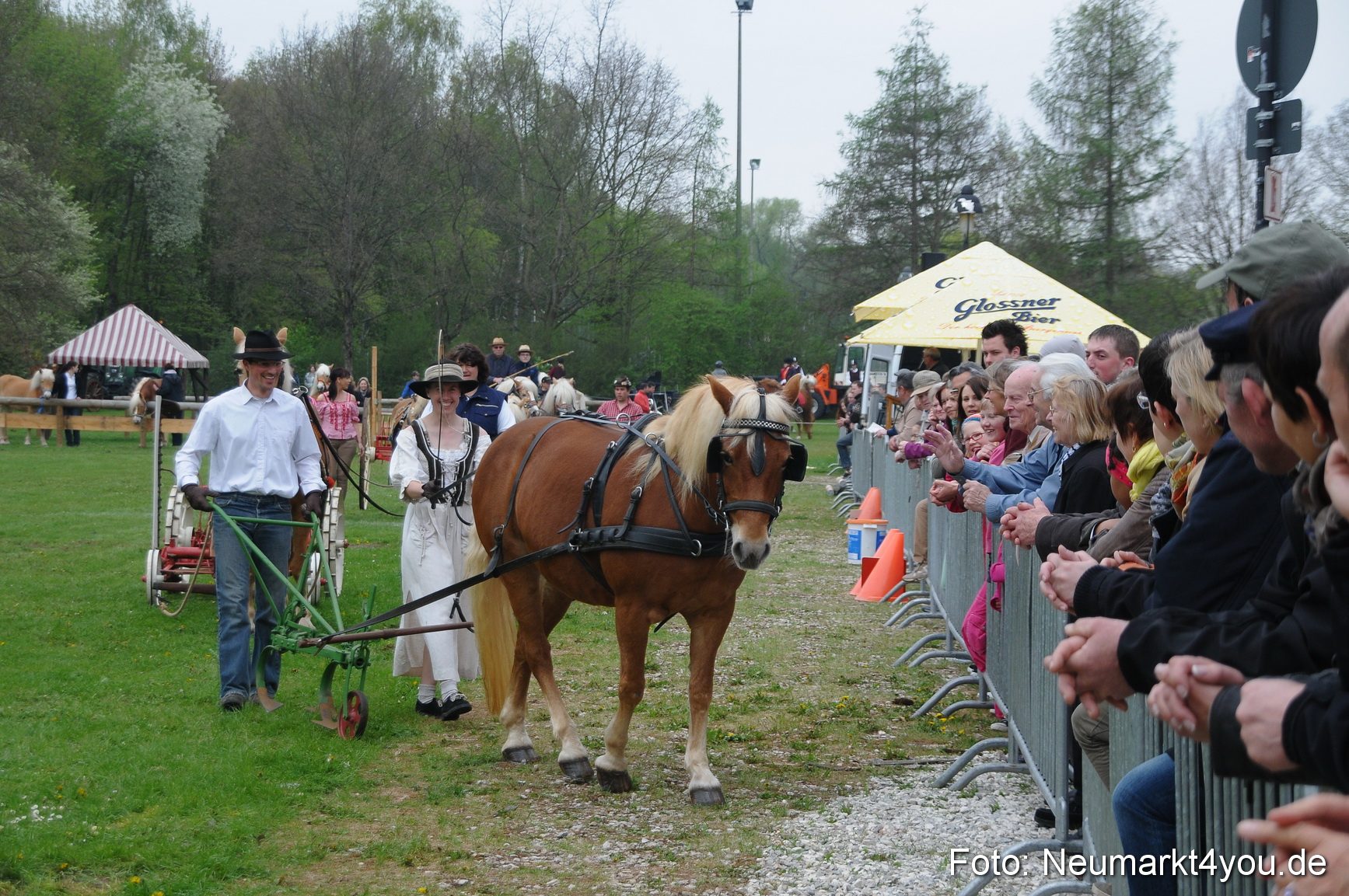 Haflingertreffen Neumarkt 010513 0030