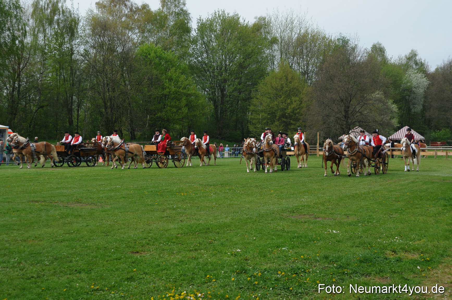 Haflingertreffen Neumarkt 010513 0047