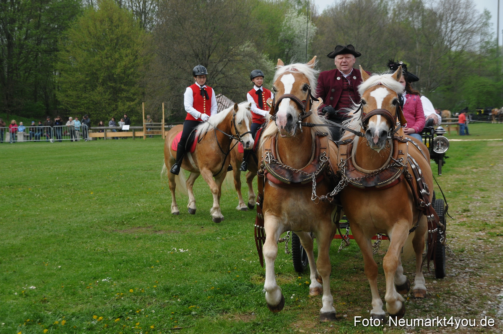 Haflingertreffen Neumarkt 010513 0050
