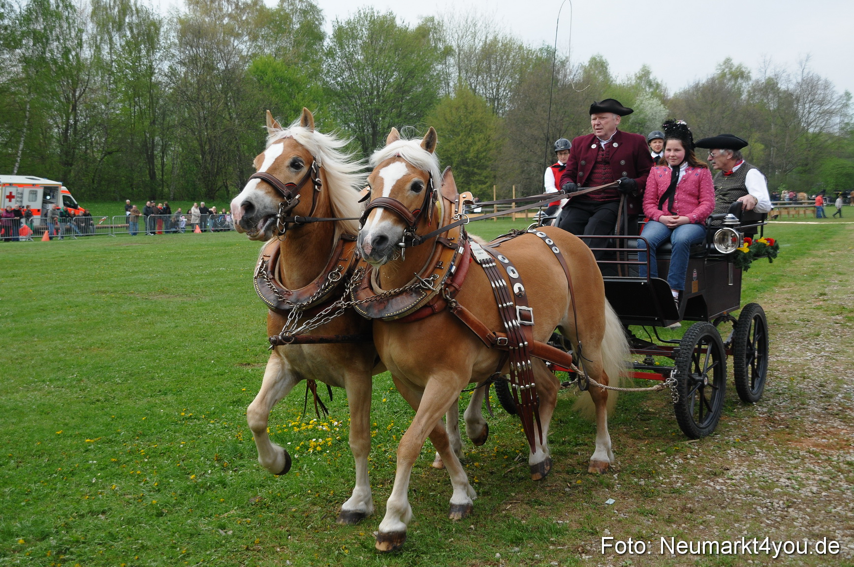 Haflingertreffen Neumarkt 010513 0051
