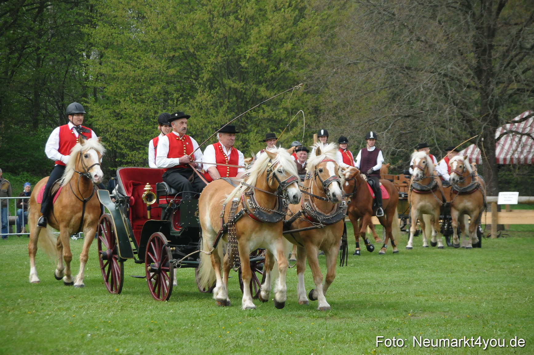 Haflingertreffen Neumarkt 010513 0053