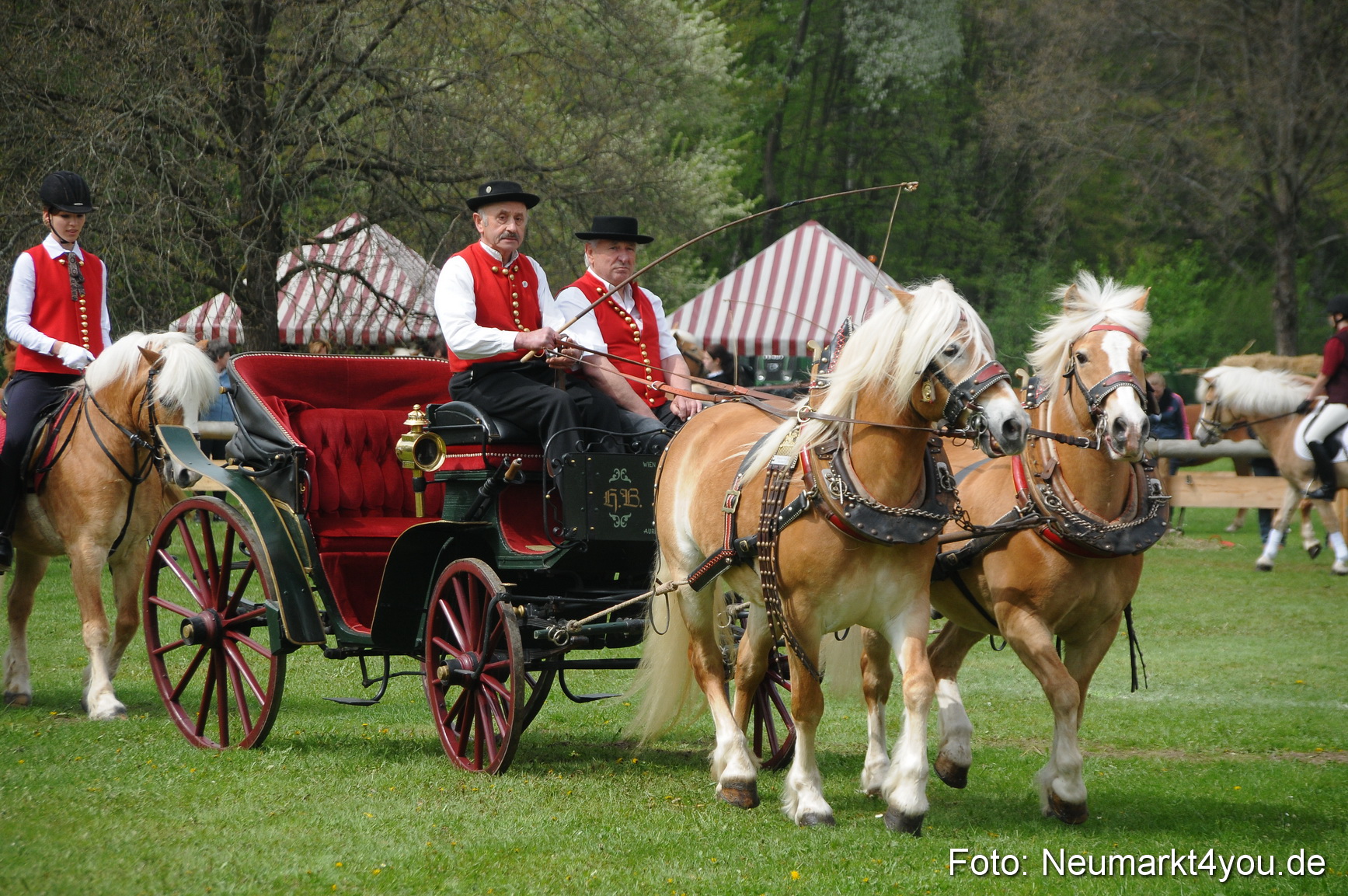 Haflingertreffen Neumarkt 010513 0054