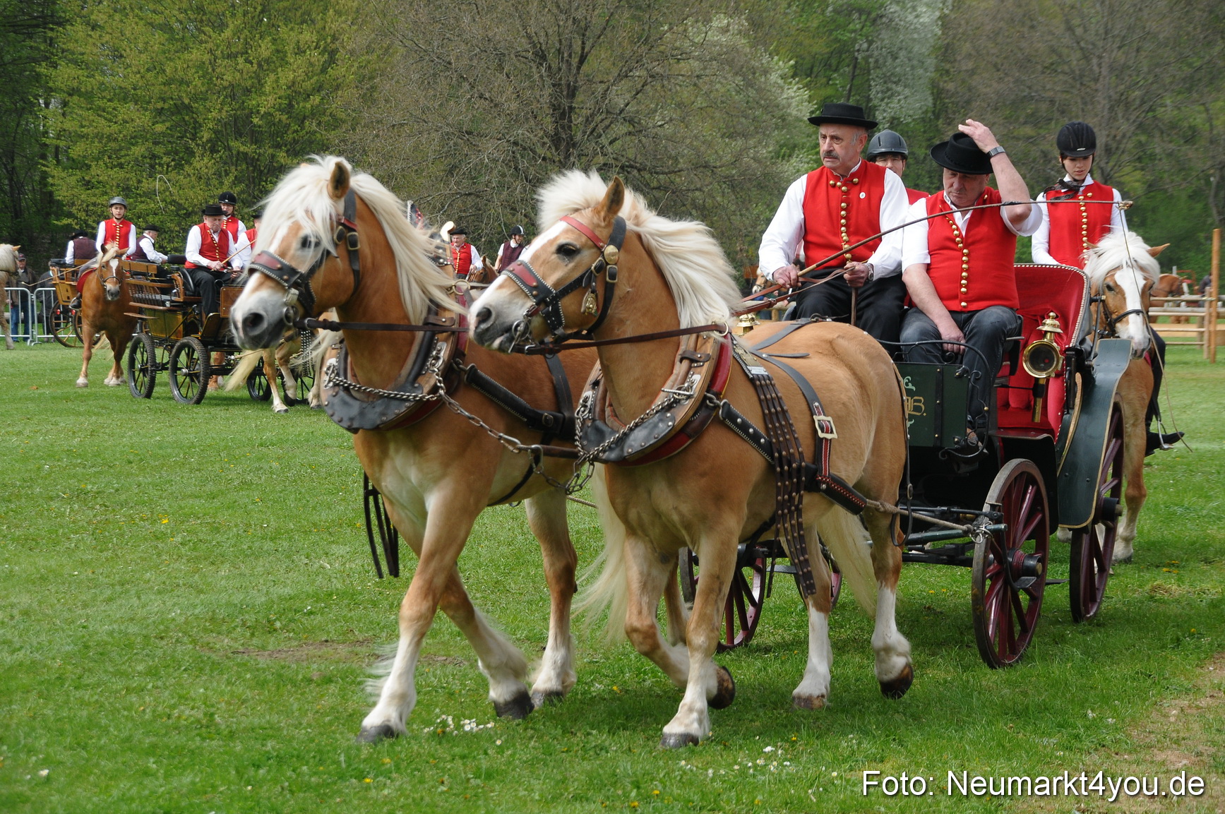 Haflingertreffen Neumarkt 010513 0055