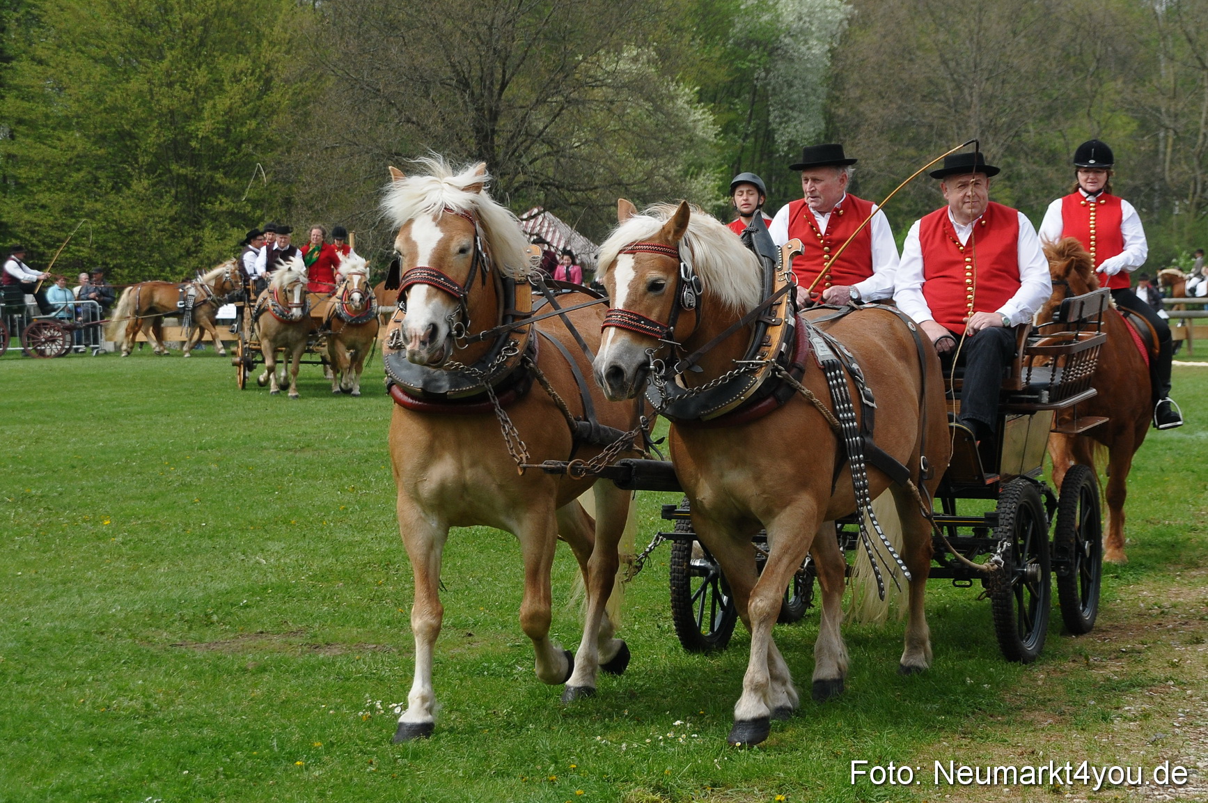 Haflingertreffen Neumarkt 010513 0056