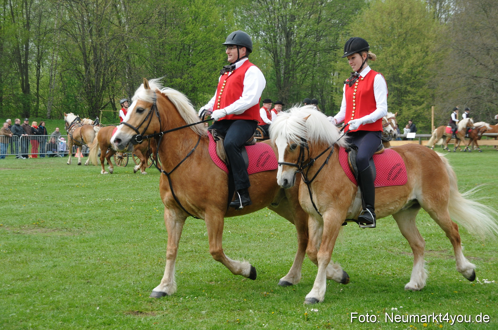 Haflingertreffen Neumarkt 010513 0057