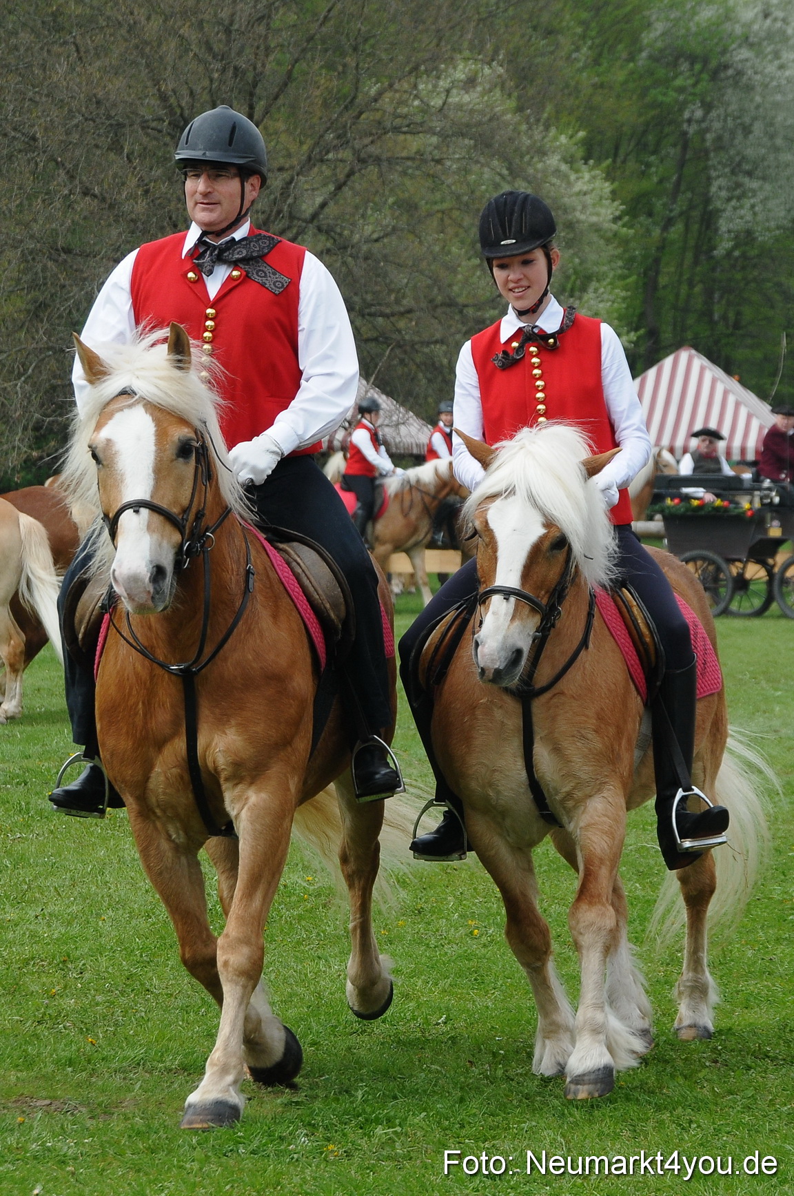 Haflingertreffen Neumarkt 010513 0058