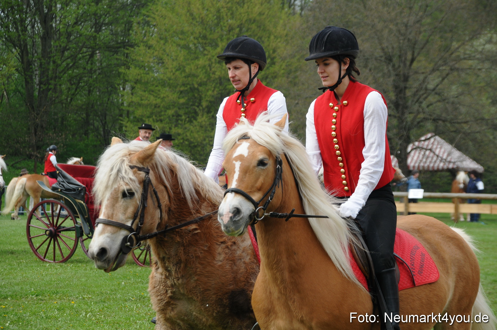 Haflingertreffen Neumarkt 010513 0059